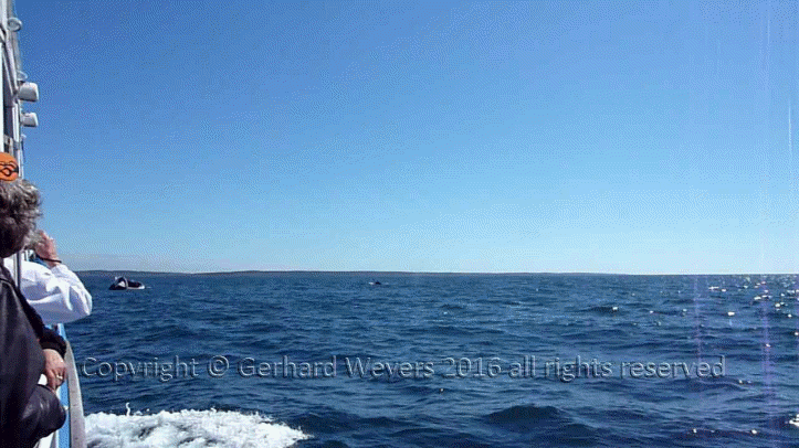 20160902_202241_2807