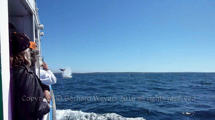 20160902_202241_2828