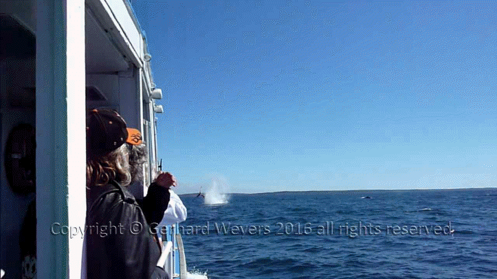 20160902_202241_2842