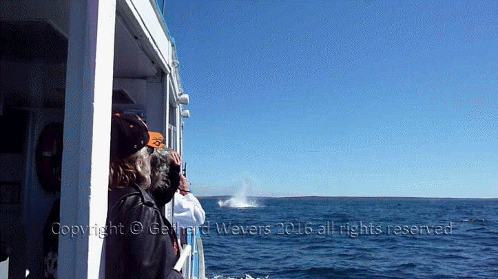 20160902_202241_2856