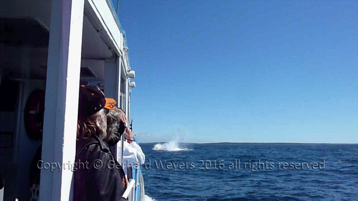 20160902_202241_2863