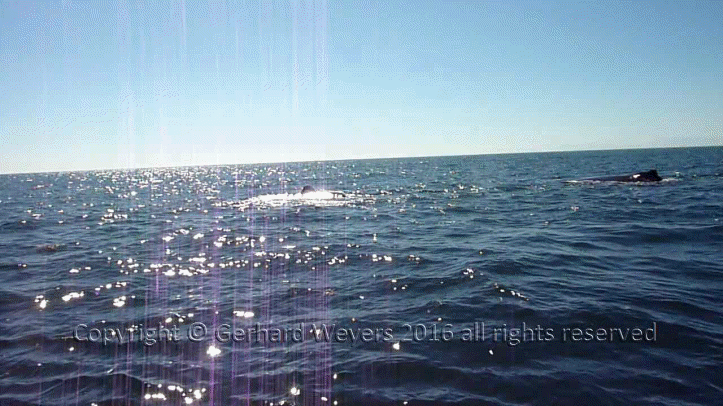 20160902_204043_1925