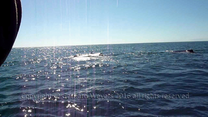 20160902_204043_1967