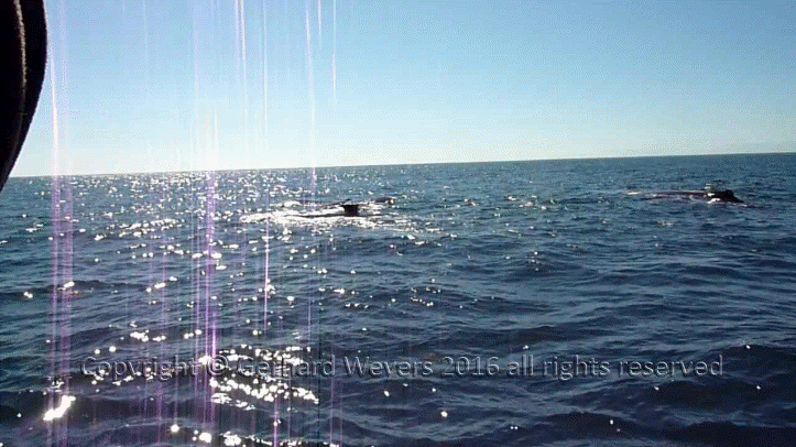 20160902_204043_1995