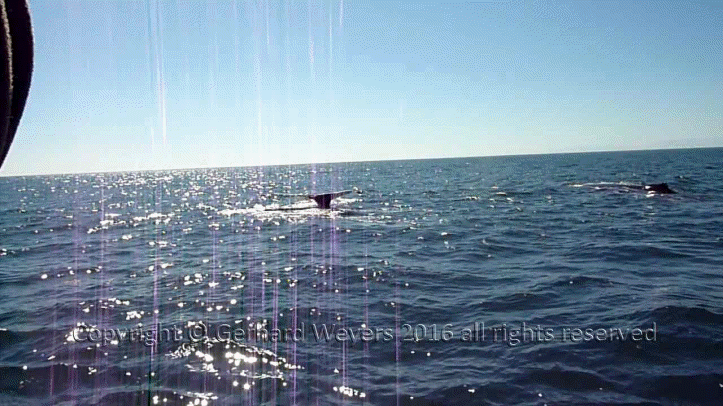 20160902_204043_2009