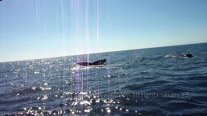 20160902_204043_2051