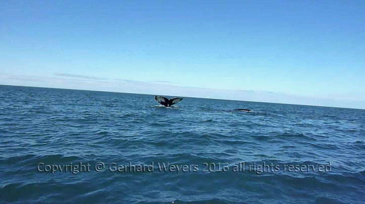 20160902_204043_5530