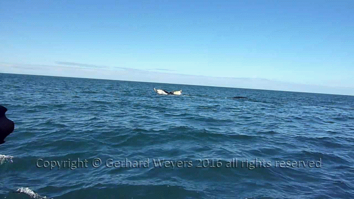 20160902_204043_5558